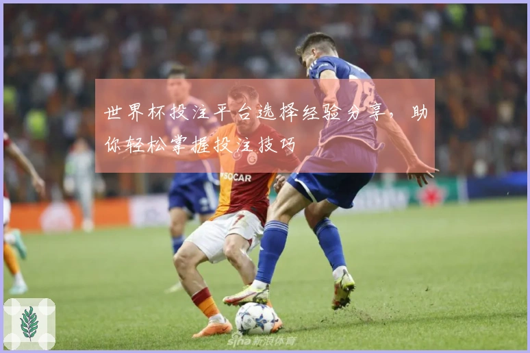 世界杯投注平台选择经验分享，助你轻松掌握投注技巧