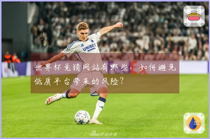 世界杯竞猜网站有哪些，如何避免低质平台带来的风险？