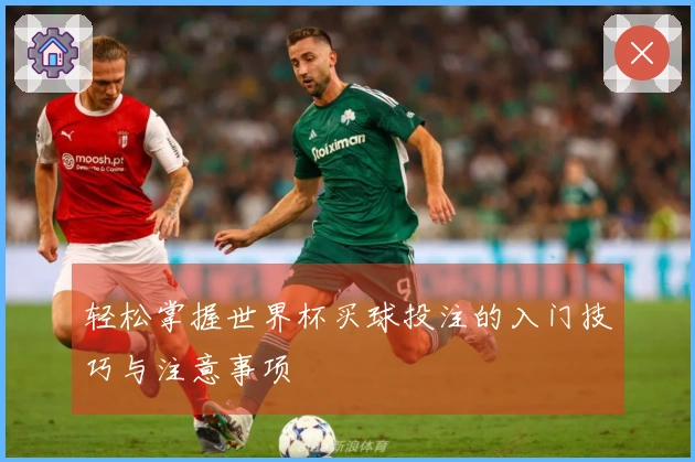 轻松掌握世界杯买球投注的入门技巧与注意事项