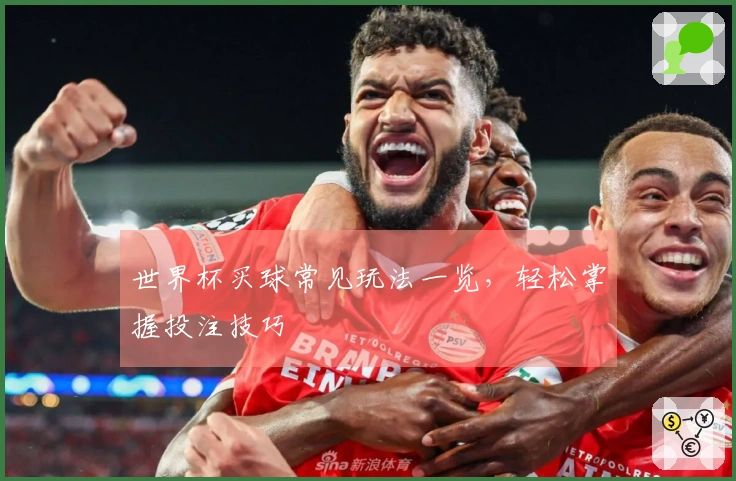 世界杯买球常见玩法一览，轻松掌握投注技巧