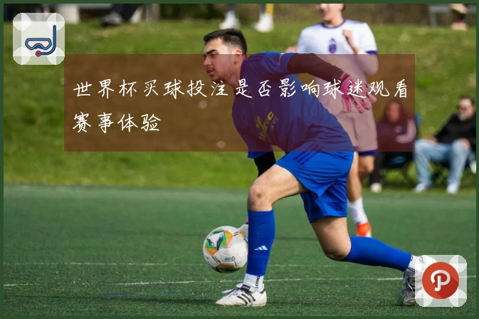 世界杯买球投注是否影响球迷观看赛事体验