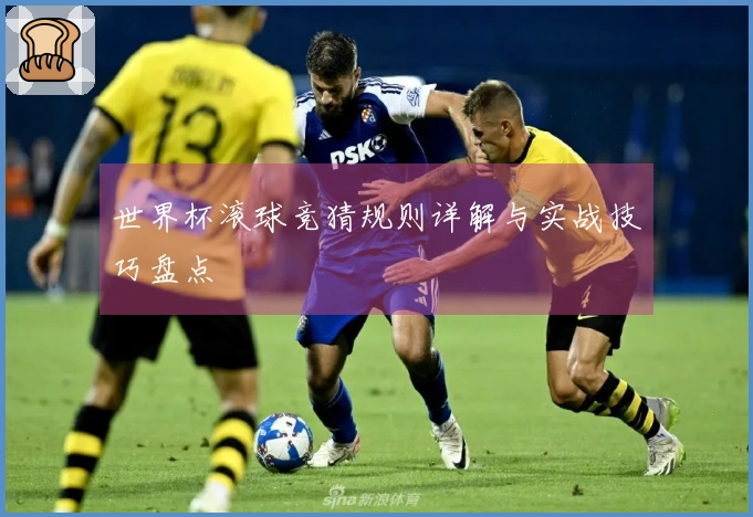 世界杯滚球竞猜规则详解与实战技巧盘点