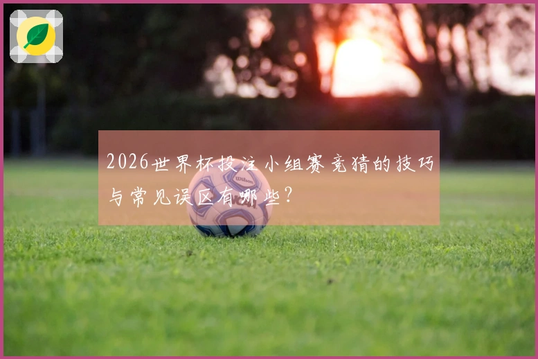 2026世界杯投注小组赛竞猜的技巧与常见误区有哪些？