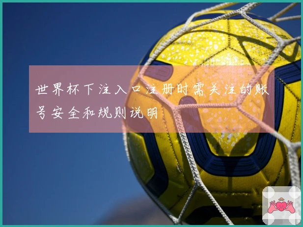 世界杯下注入口注册时需关注的账号安全和规则说明