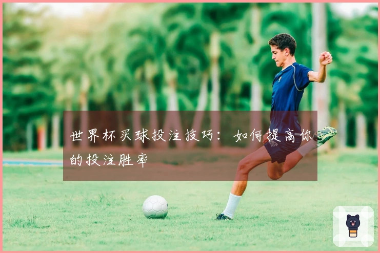 世界杯买球投注技巧：如何提高你的投注胜率