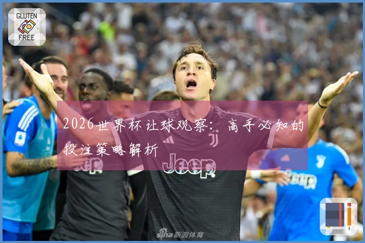 2026世界杯让球观察：高手必知的投注策略解析
