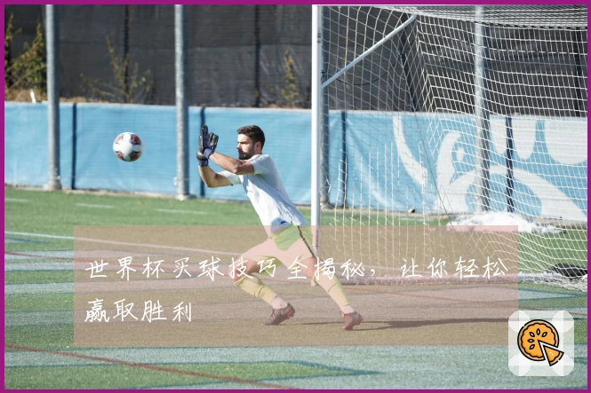 世界杯买球技巧全揭秘，让你轻松赢取胜利