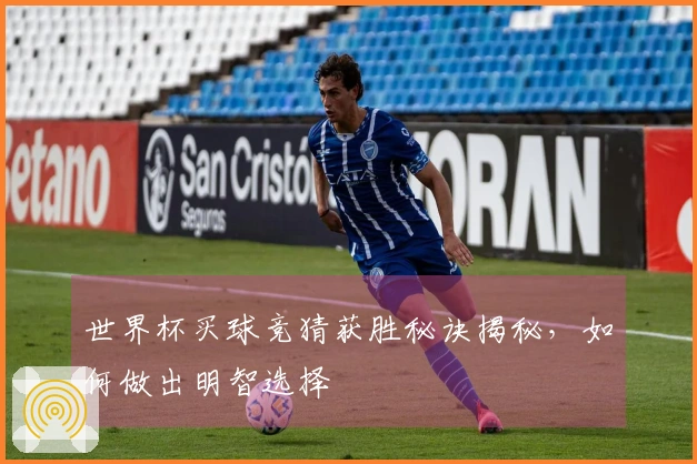 世界杯买球竞猜获胜秘诀揭秘，如何做出明智选择
