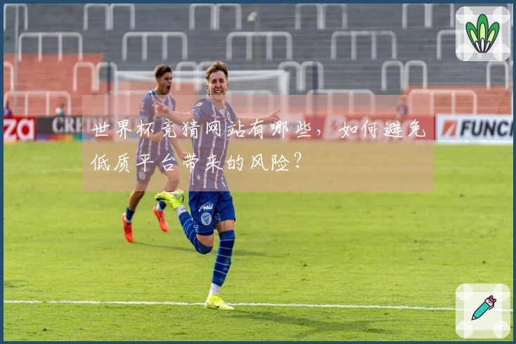世界杯竞猜网站有哪些，如何避免低质平台带来的风险？