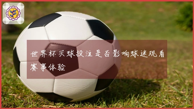 世界杯买球投注是否影响球迷观看赛事体验