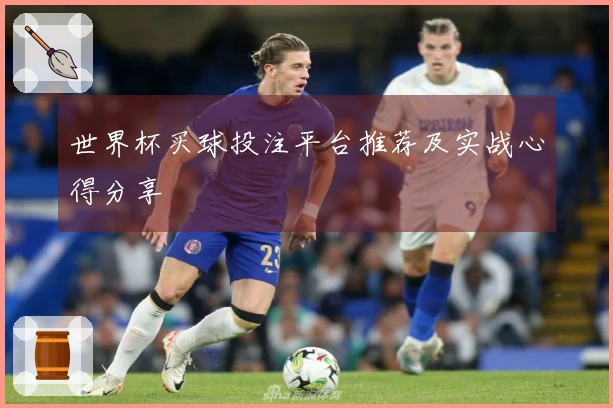 世界杯买球投注平台推荐及实战心得分享