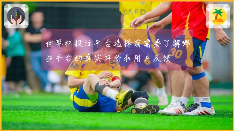 世界杯投注平台选择前需要了解哪些平台的真实评价和用户反馈