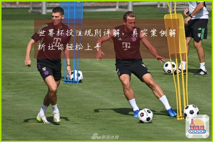 世界杯投注规则详解，真实案例解析让你轻松上手