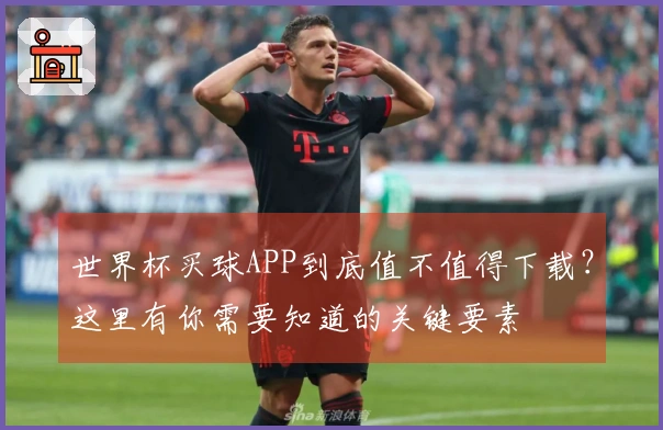 世界杯买球APP到底值不值得下载？这里有你需要知道的关键要素