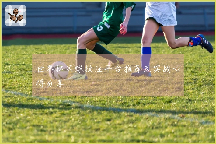 世界杯买球投注平台推荐及实战心得分享