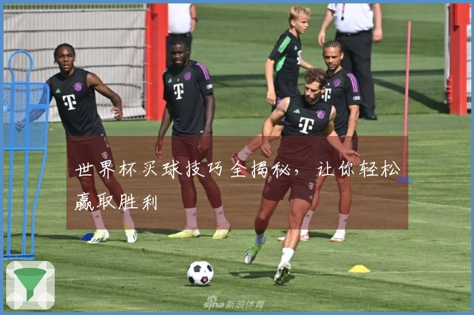 世界杯买球技巧全揭秘，让你轻松赢取胜利