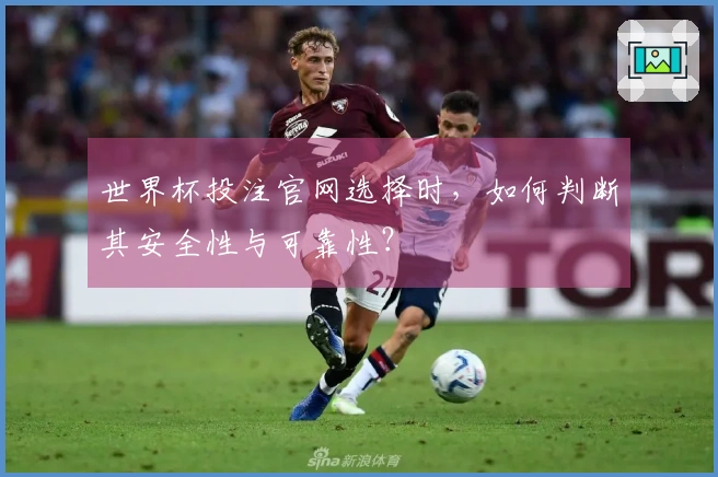 世界杯投注官网选择时，如何判断其安全性与可靠性？