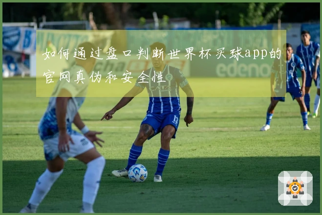 如何通过盘口判断世界杯买球app的官网真伪和安全性